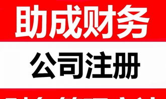 揭秘“99元起”代理记账服务 低成本创业的机遇与注意事项